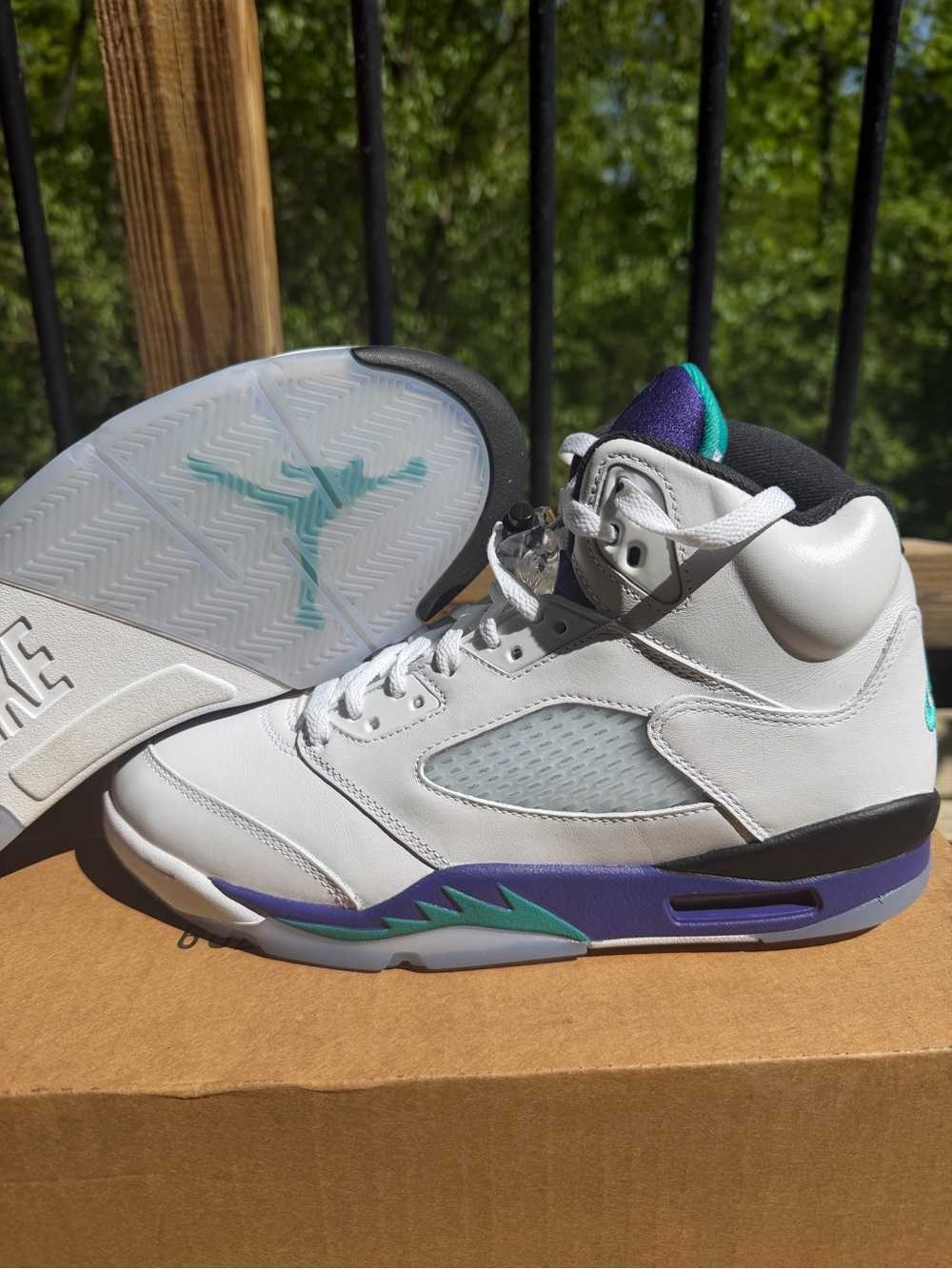 Men’s Nike Air Jordan 5 V Retro Grapes 2025 Basketball Shoes HQ7978-100 Sz 10.5